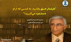 ناصر کاتوزیان